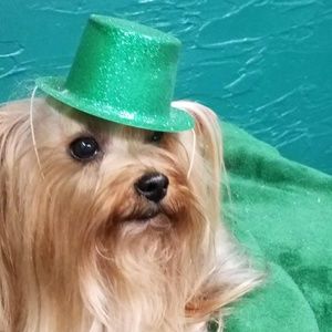 Meet your Posher, Nancy